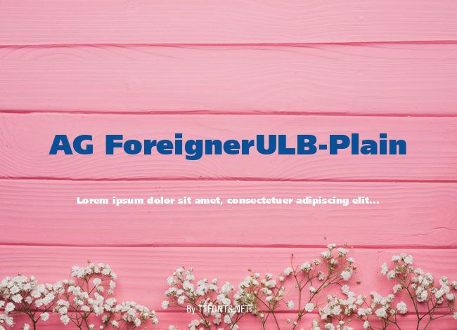 AG ForeignerULB-Plain example